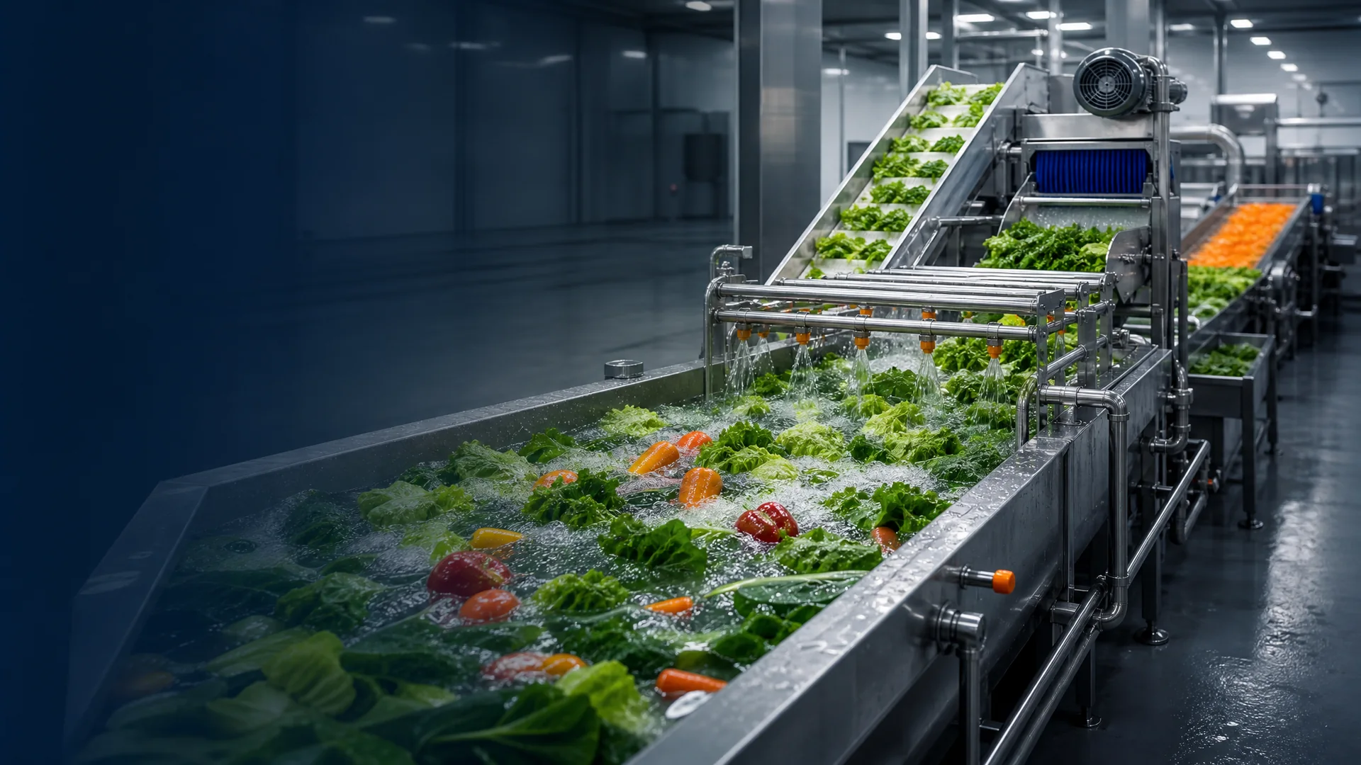 Industrial vegetable washing and air drying line